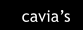 cavia�s